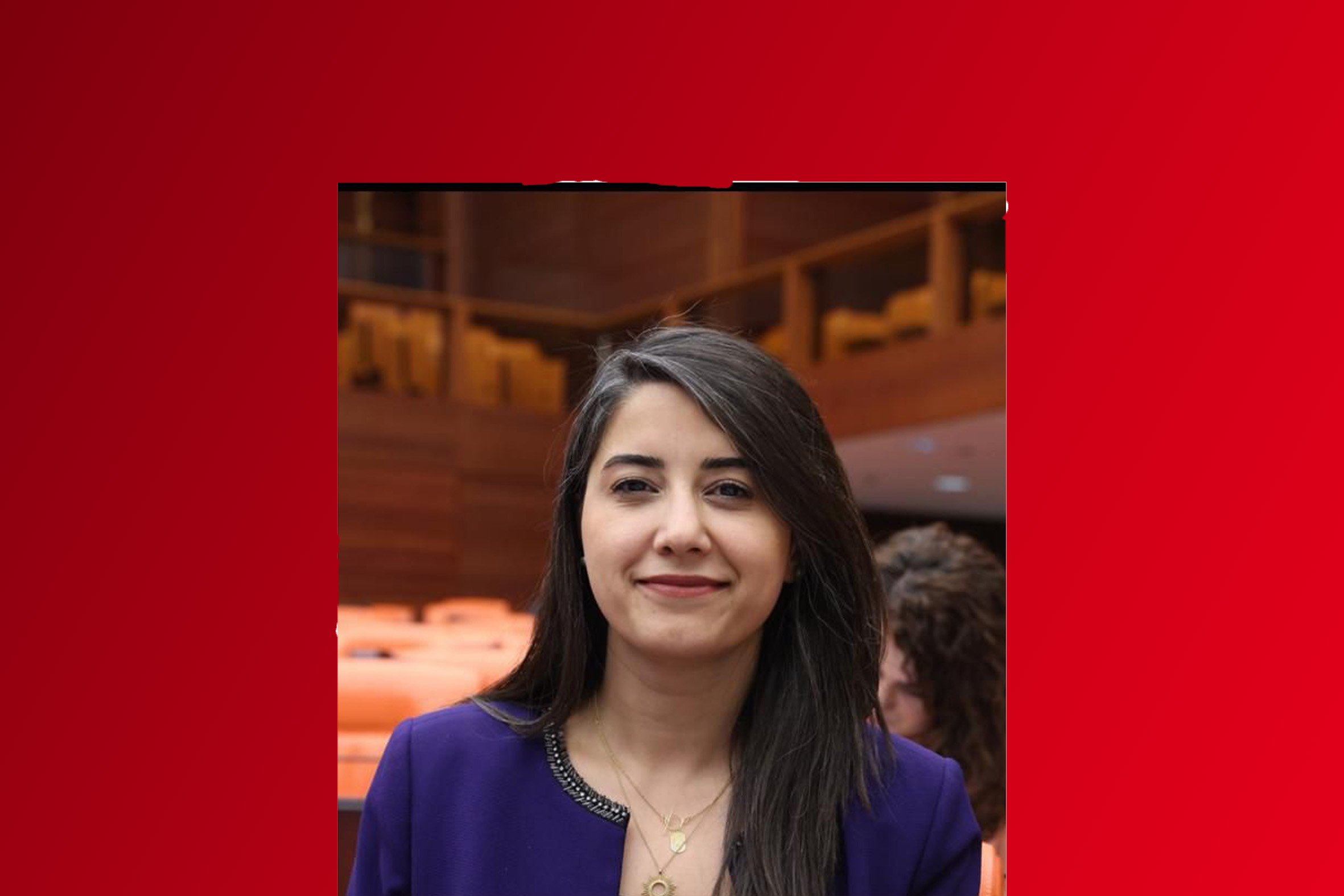 DEM PARTİ MİLLET VEKİLİNDEN  İKİ DİLDE KANDİL MESAJI 