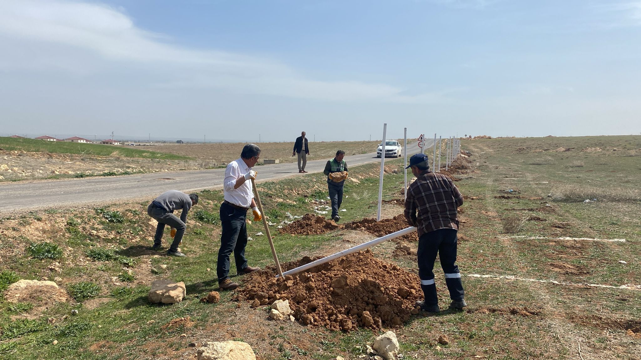 SURUÇ İLÇESİNDE SOKAK HAYVANLARI KORUMAYA ALINİYOR
