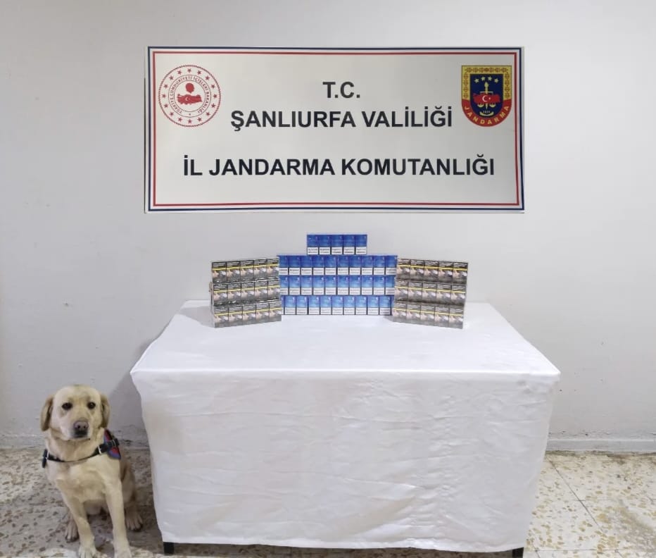 Sigara kaçakçılarına darbe...