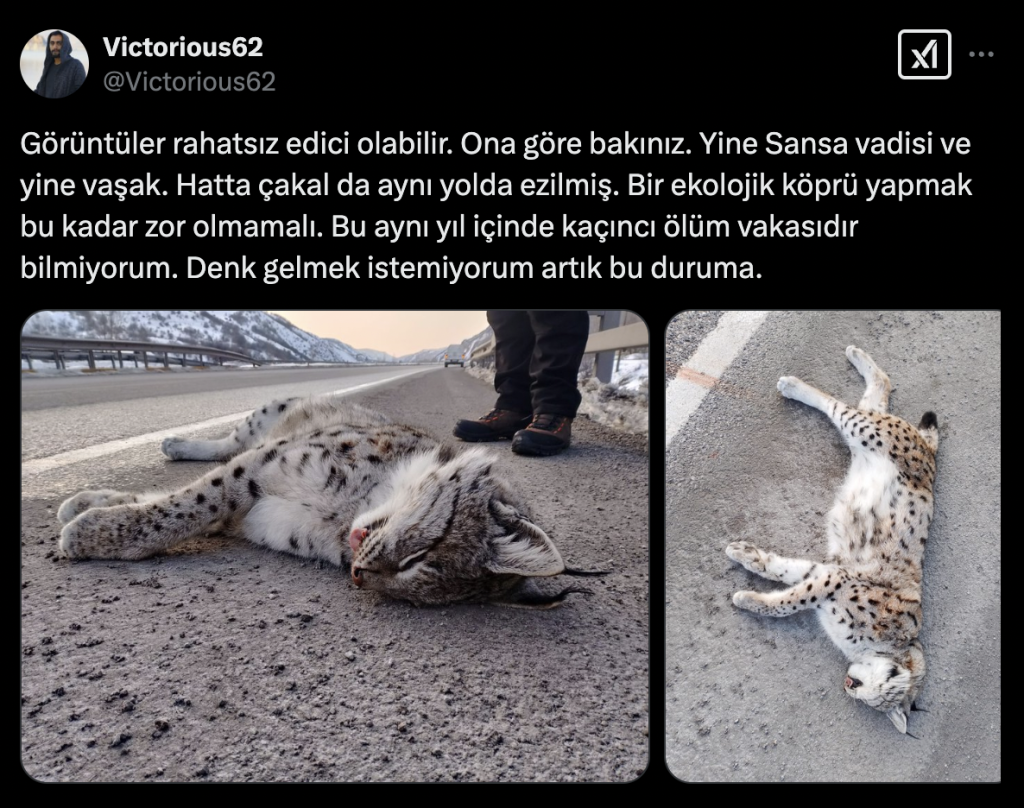 Ekran-Resmi-2025-02-14-19-14-28-1024x808