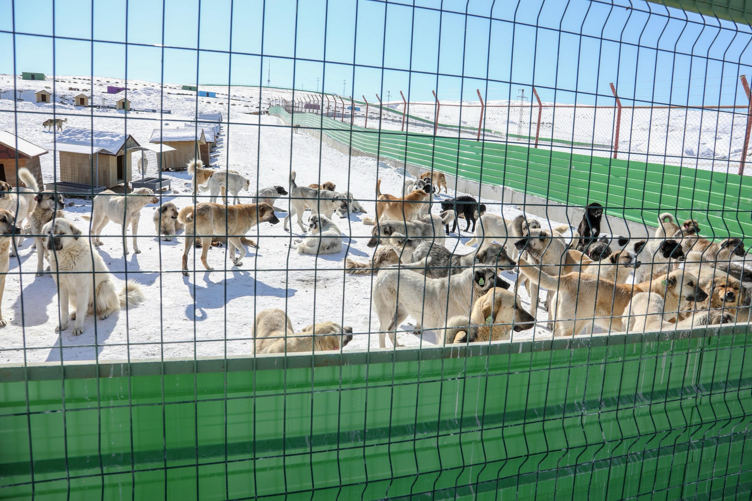 IMG-20250225-WA0023