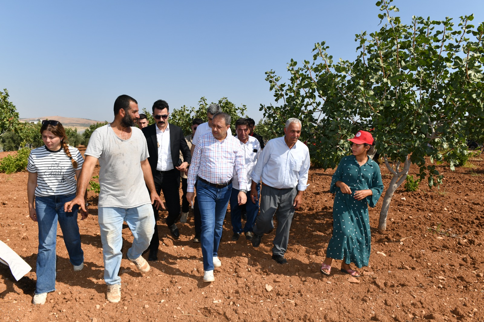 VALİ ŞILDAK, BOZ FISTIK HASADINA KATILDI*